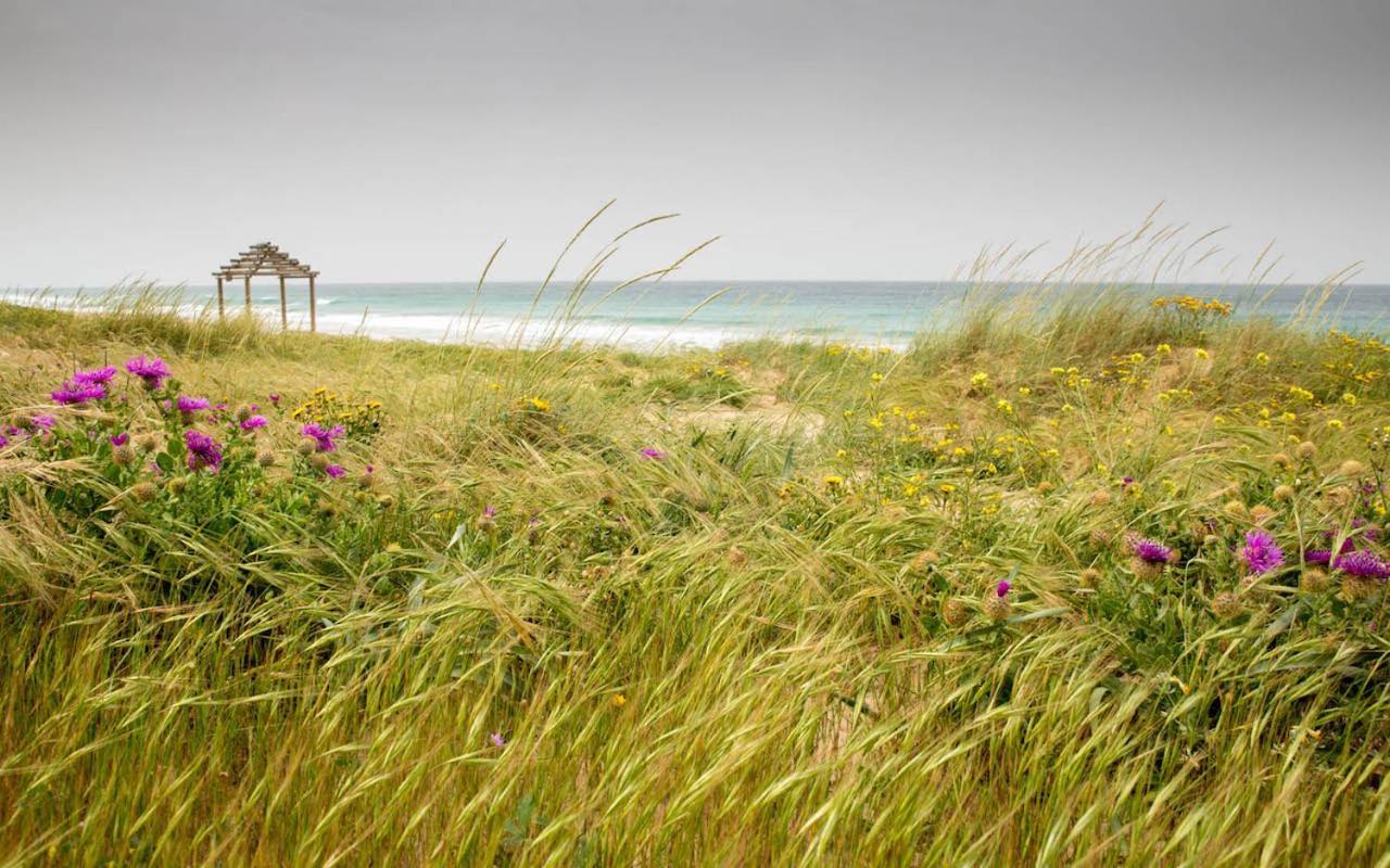 Romantic Beach Cabin - Playa El Palmar El Palmar de Vejer Exterior foto